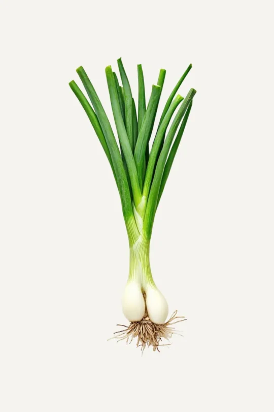 Green Onions