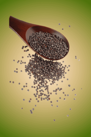 Organic Mustard Seeds