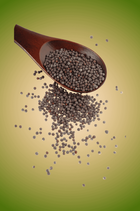 Organic Mustard Seeds