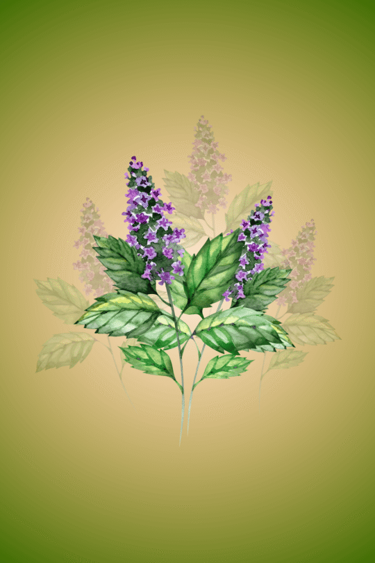 Herbal Pest Repellent