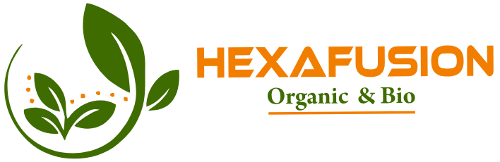 Hexafusion Pvt. Ltd. – Multi-Sector Growth Solutions