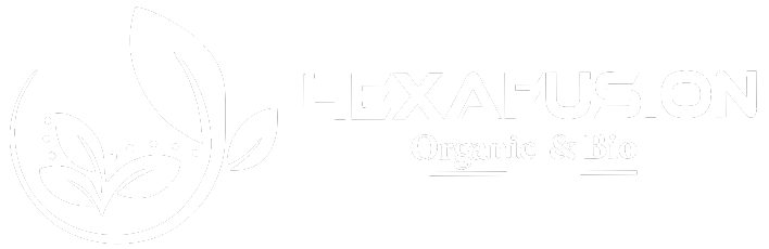 Hexafusion Logo